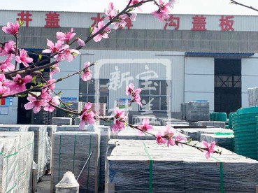 花滿枝頭，春意盎然